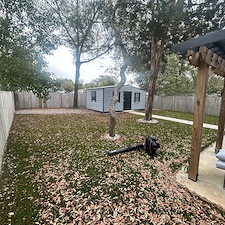 Buried-in-Leaves-Well-Dig-You-Out 2